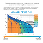 Насос-автомат Джамбо 70/50 П-50 Фото 2