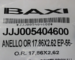 Прокладка кольцевая Baxi Фото 2