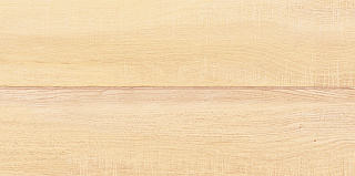 Плитка настенная AltaCera Briole Wood 24.9x50 Фото 1