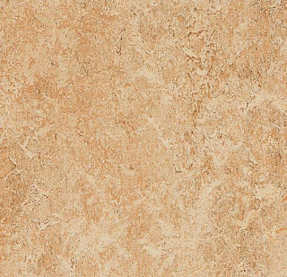 Био-линолеум MARMOLEUM REAL 2,00 Shell 3075 Фото 1