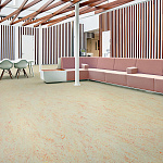 Био-линолеум MARMOLEUM REAL 2,00 Graphite 3048 Фото 8