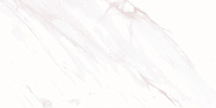 Плитка настенная AltaCera Eterna Light 24.9x50