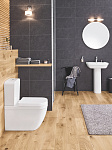 Унитаз-компакт Grohe Euro Ceramic безободковый с микролифтом Фото 6
