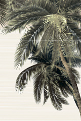 Панно Del mare PWU09DLM2 74.7x50