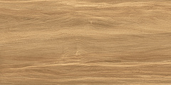 Плитка настенная AltaCera Portland Dark 24.9x50