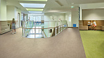 Био-линолеум MARMOLEUM REAL 2,00 Green wellness 3881 Фото 12