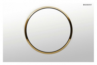 Кнопка для инсталляции GEBERIT Sigma 10 белая/золото Фото 1