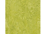 Био-линолеум MARMOLEUM REAL 2,00 Chartreuse 3224